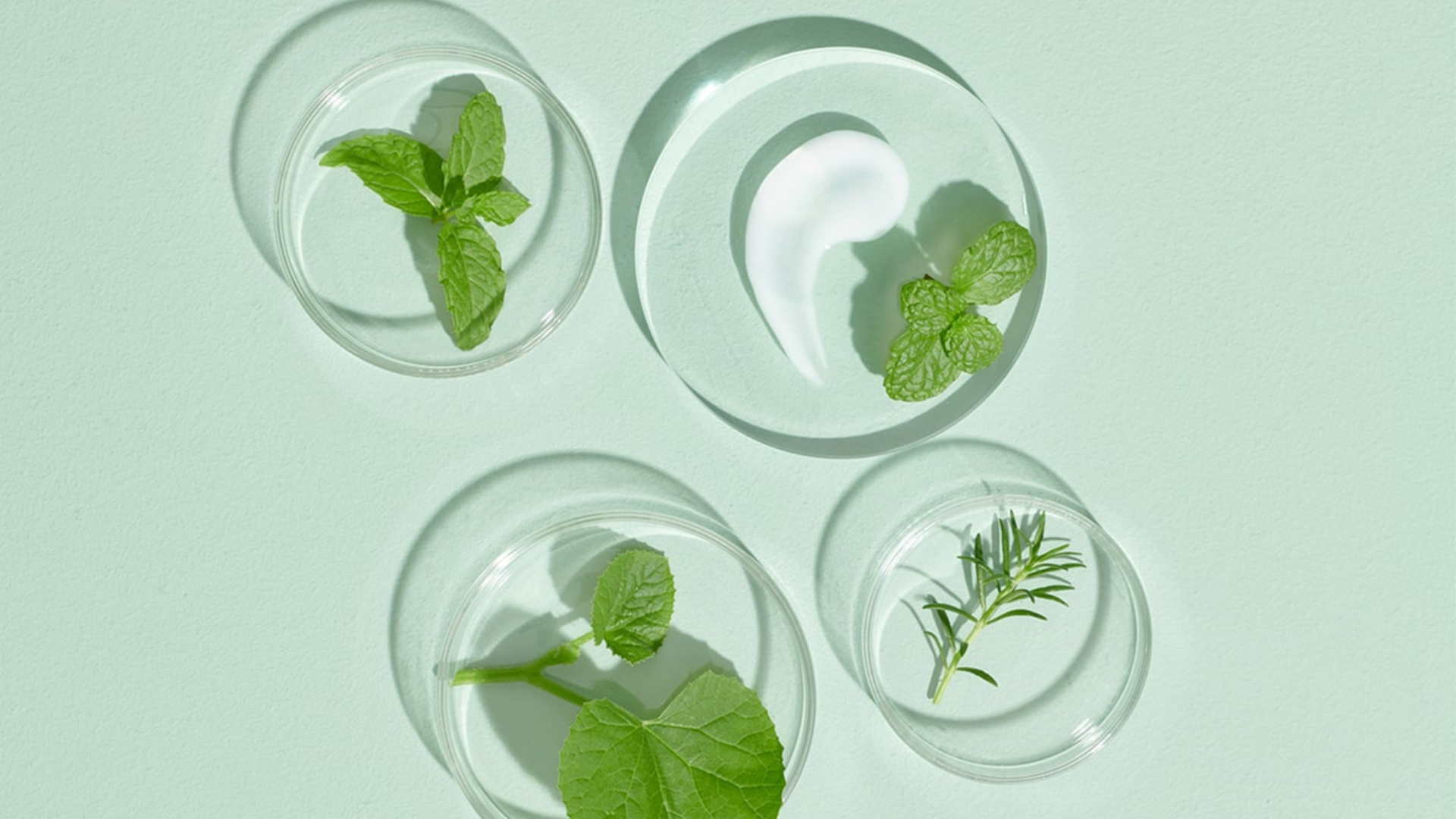 Cosmetic Ingredients: Natural, Naturally Derived or Synthetic, what's the difference ?