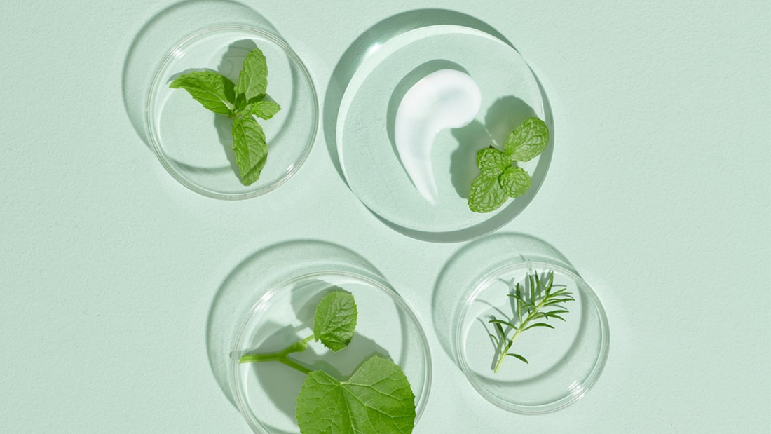 Cosmetic Ingredients: Natural, Naturally Derived or Synthetic, what's the difference ?