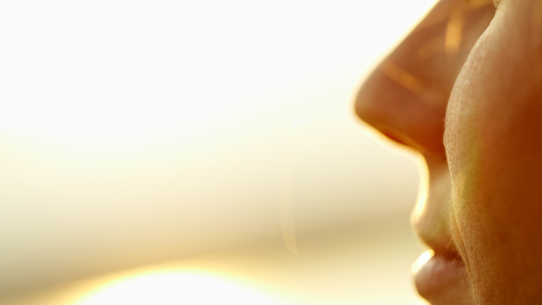 Why protect your skin from environmental aggression ?
