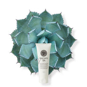 Hand Cream