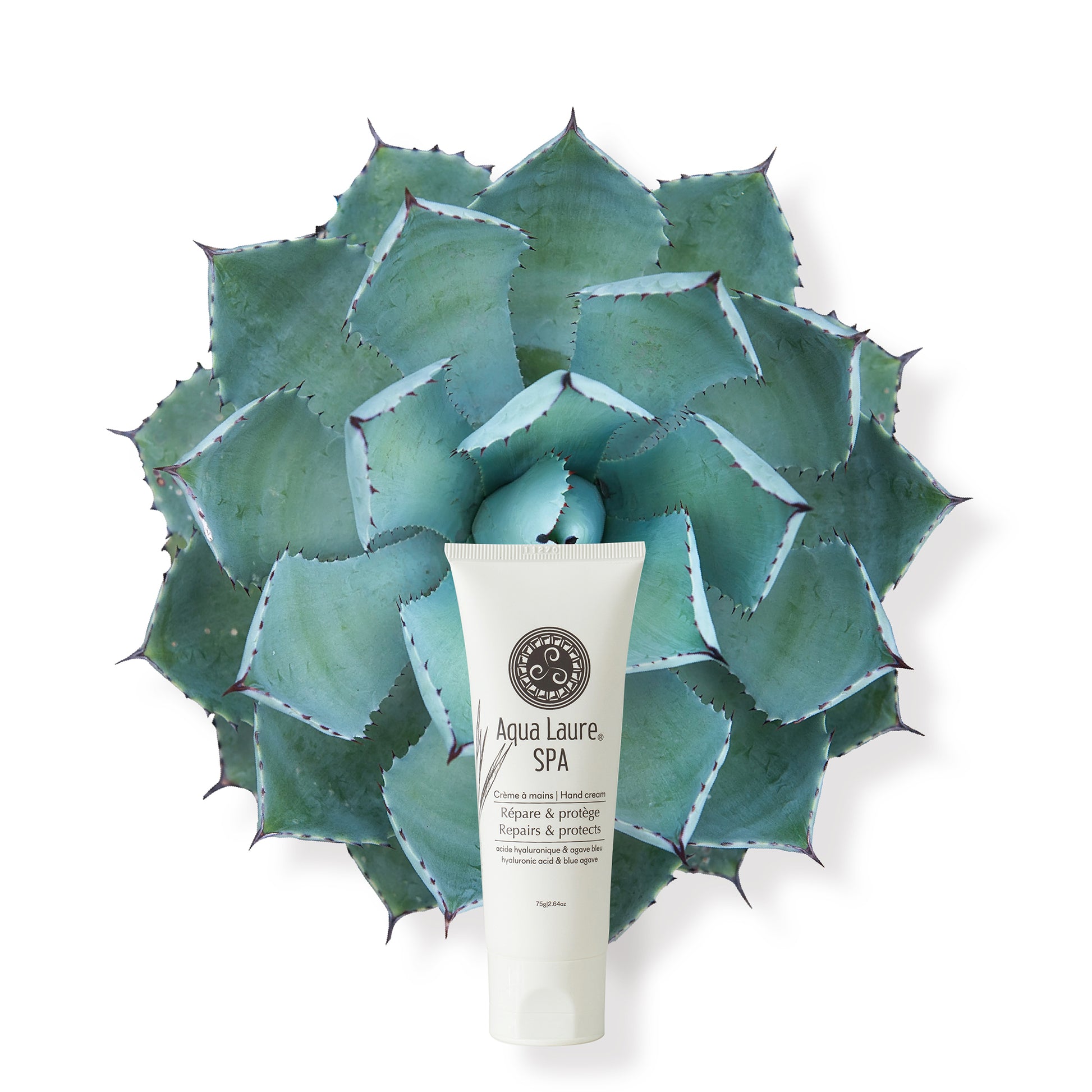 Hand Cream