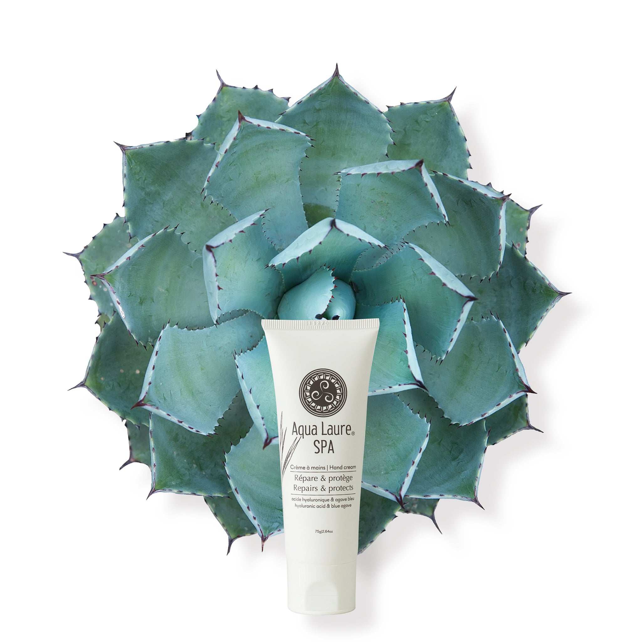 Hand Cream