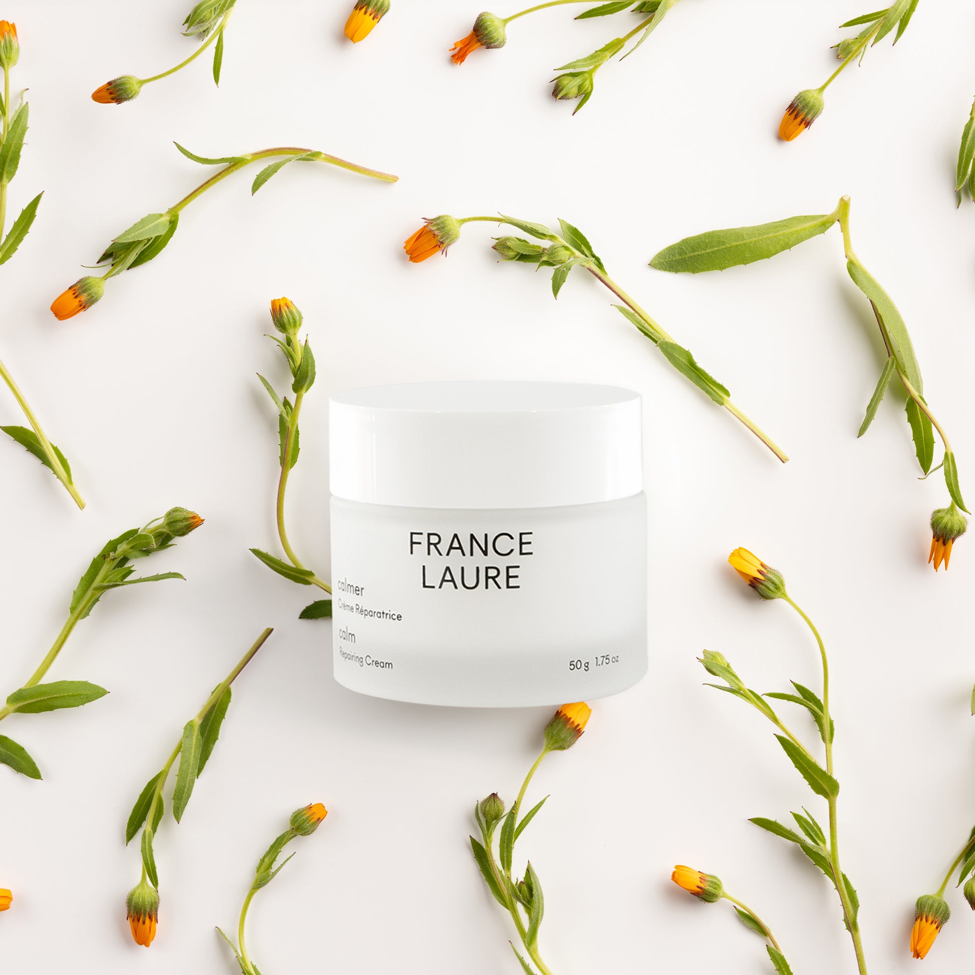 France Laure Calm Repairing Cream in white jar surrounded by fresh calendula flowers and green stems on clean white background